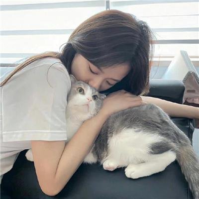 怪化猫